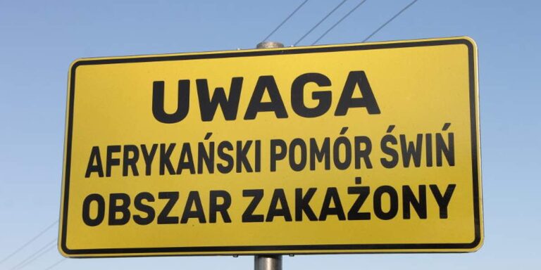 615819139 122207460482310265 2873768090281120286 n