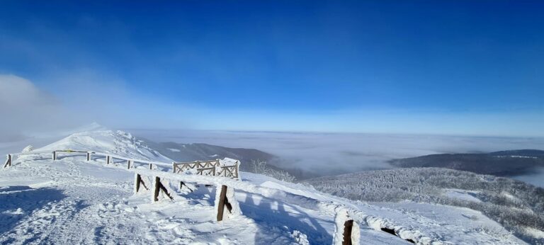 615887489 1316087693890120 6884579005981647647 n