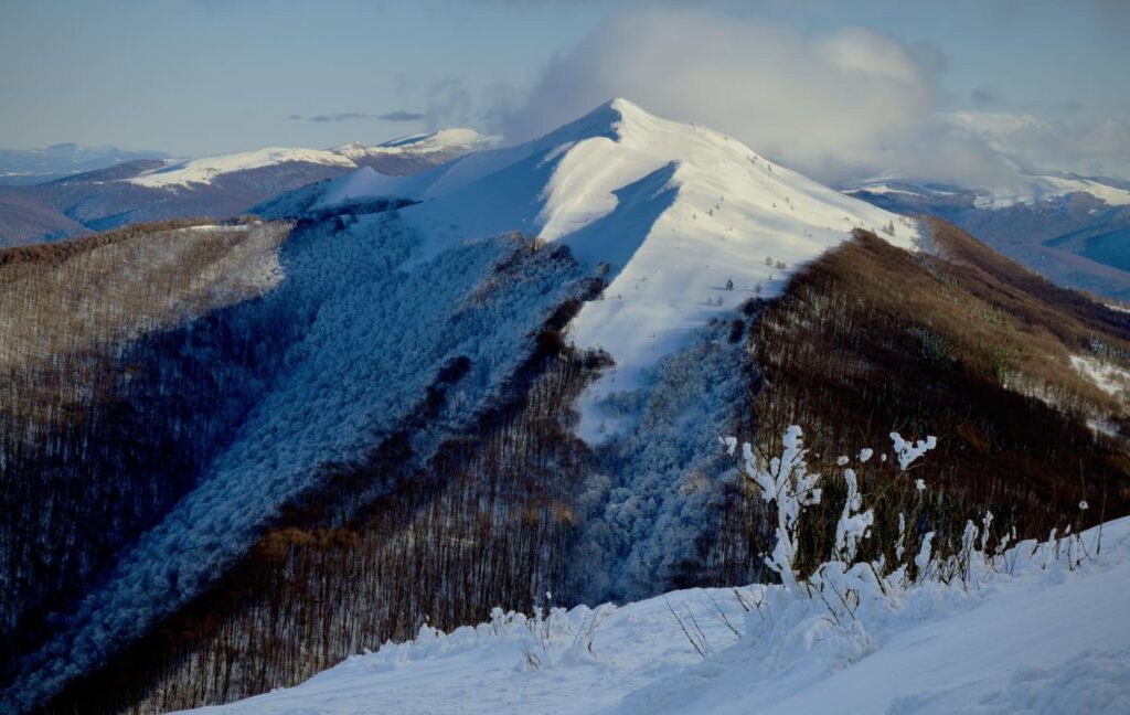 615914255 1316380560527500 8857448943814420119 n