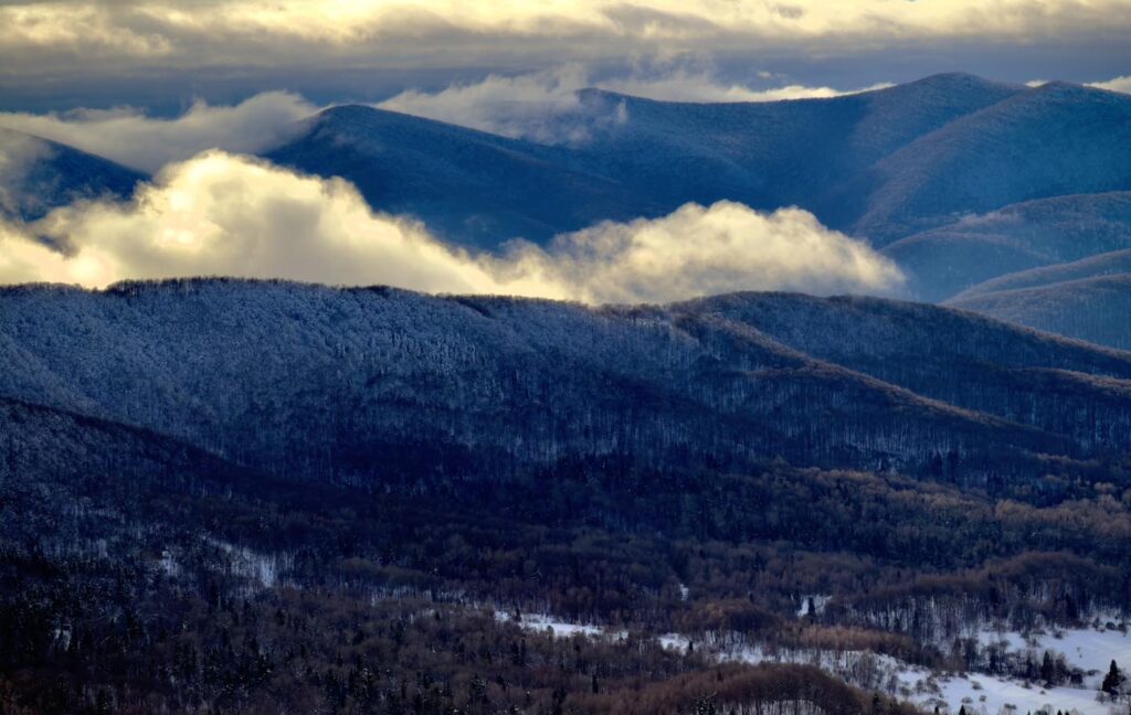 615927187 1316380557194167 9088300133614659739 n