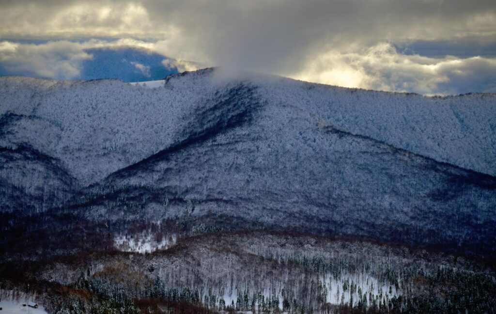 615955036 1316380547194168 315490113483746580 n