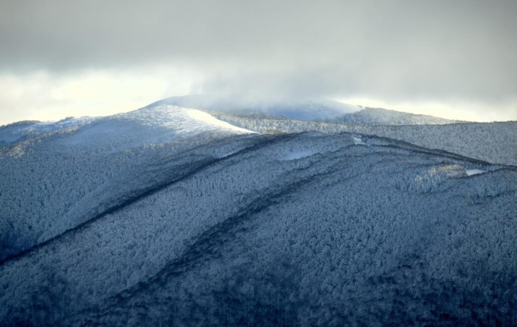 615964076 1316380550527501 5039735130492768322 n (1)