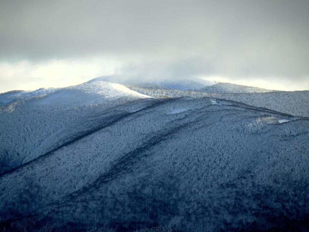 615964076 1316380550527501 5039735130492768322 n (1)