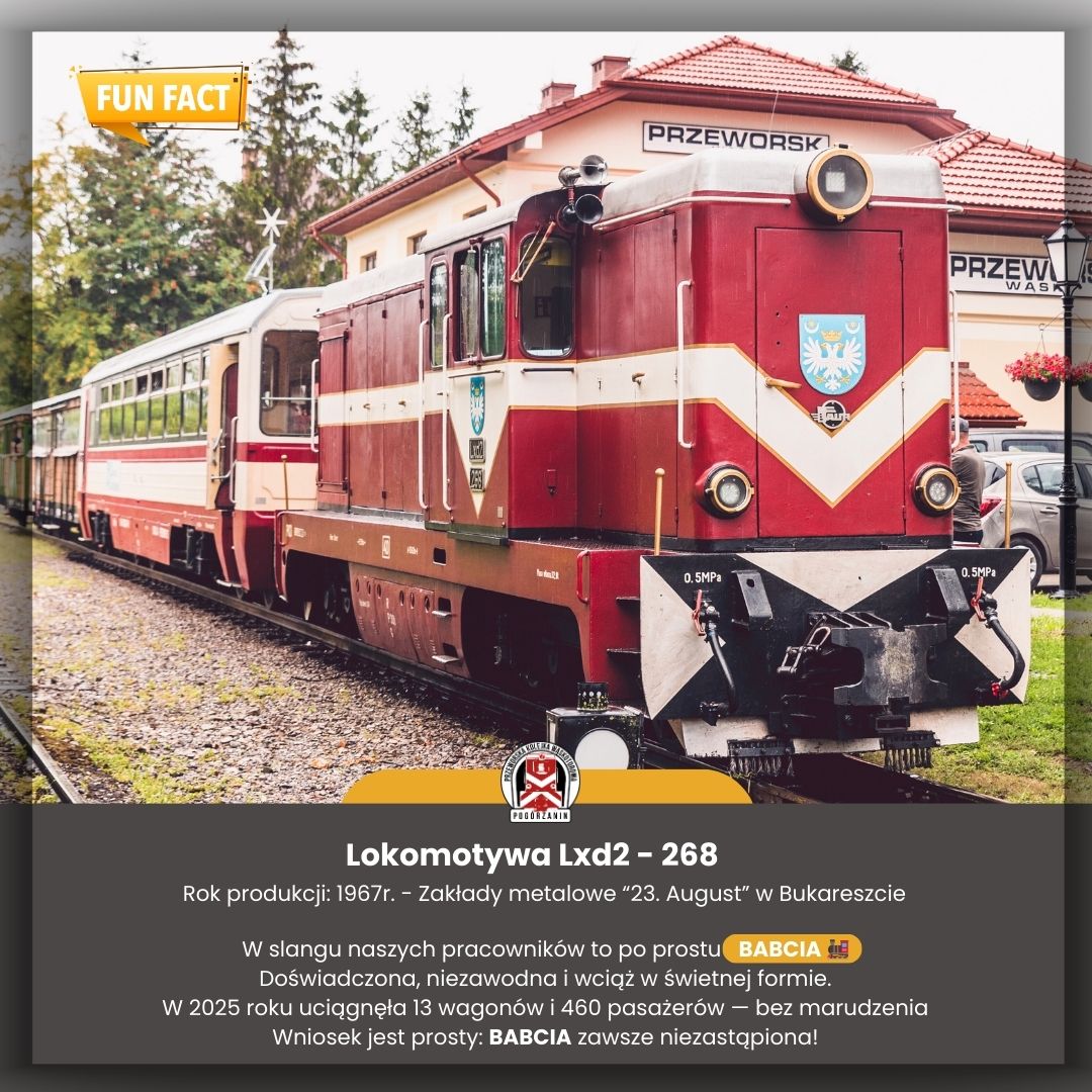 615970114 1564734235196691 8846808564309366906 n