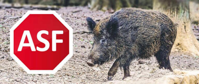 616079596 1342665071237658 5763803278487664130 n