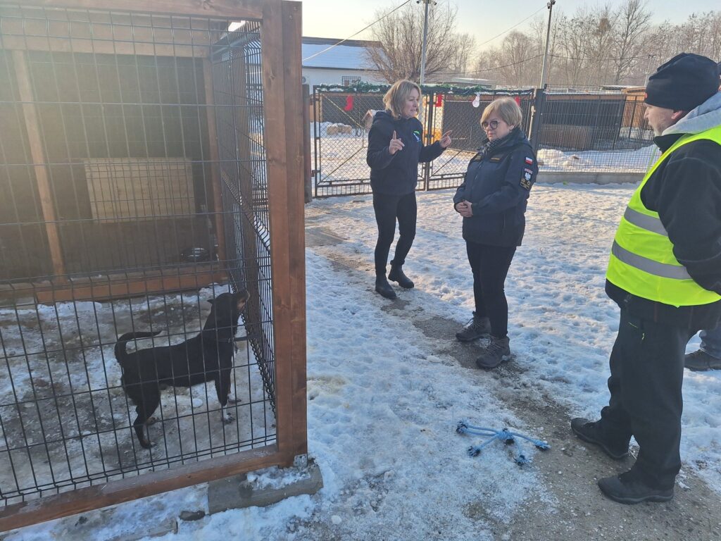 616134401 1257565909521591 2793303322458320718 n