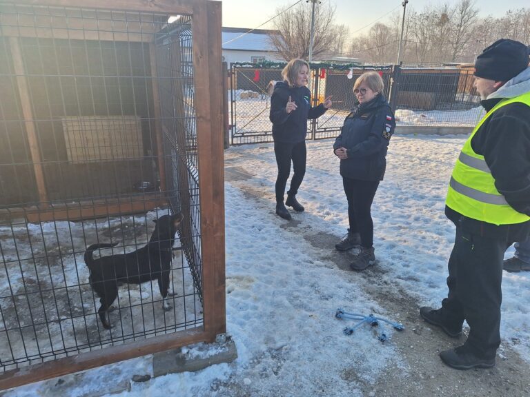 616134401 1257565909521591 2793303322458320718 n