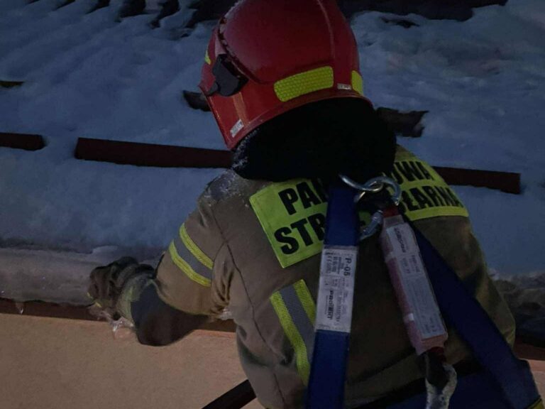 617507443 1298393998991675 3680035229913840631 n1