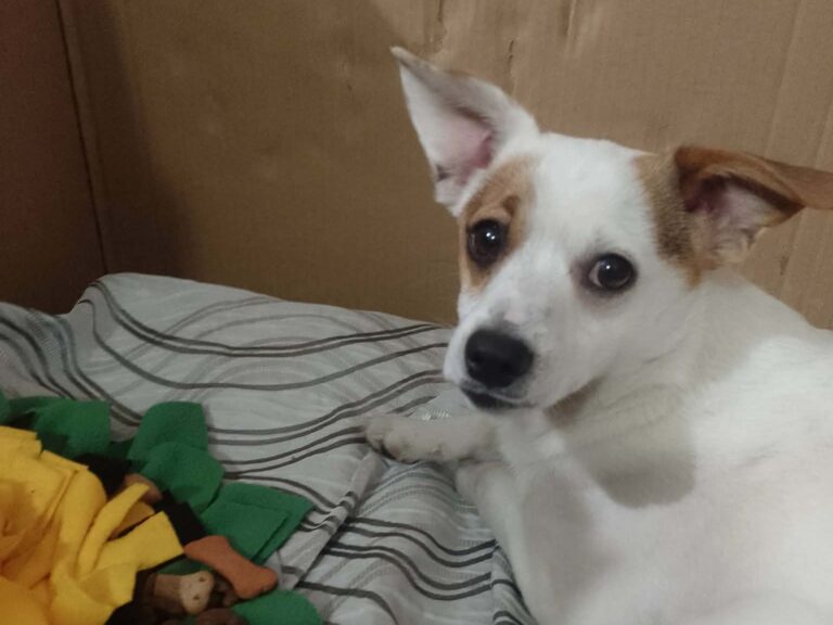 617615971 122208185798310265 4273322400169638872 n1