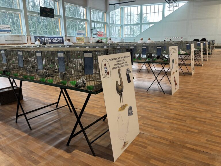 618184250 1452761066860972 7289010675210745874 n