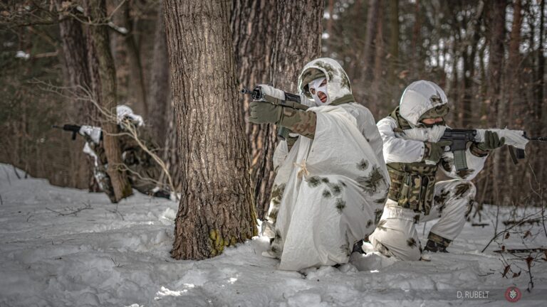 618667616 122163955280809927 652524474227245744 n