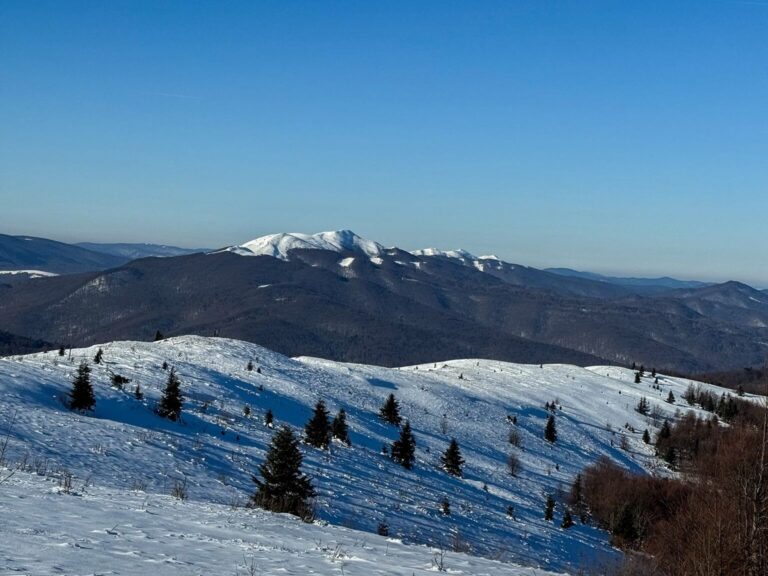 618701629 1320077176824505 7897583044503451716 n