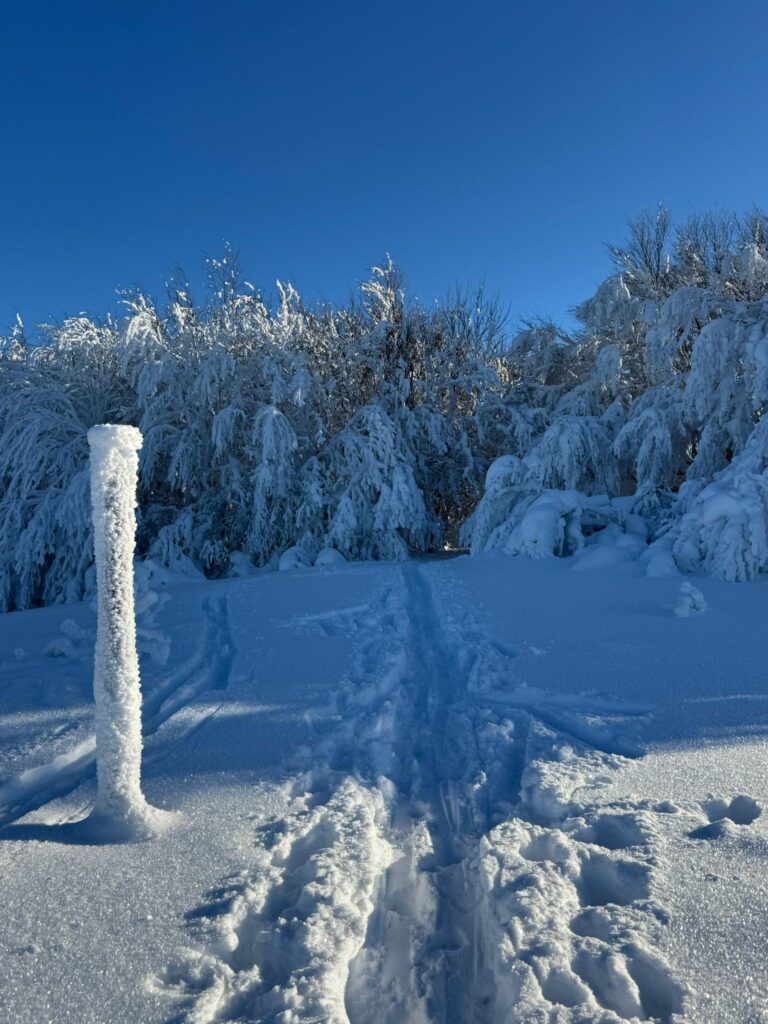 Bieszczady. Wstęp na szlaki jest płatny również zimą 1 619820455 1320079233490966 2178786661487297062 n