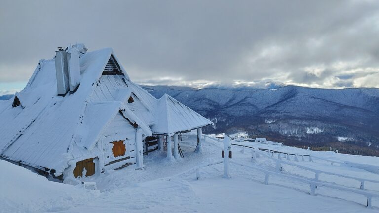 621421087 1321686946663528 10710781134683617 n