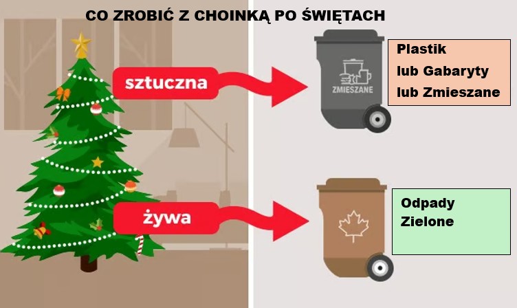 622165030 1355033703335501 95865117019014676 n