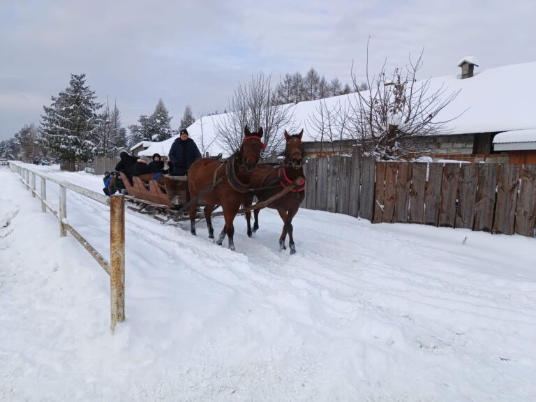 622597053 1285362493624901 2313996367749524723 n