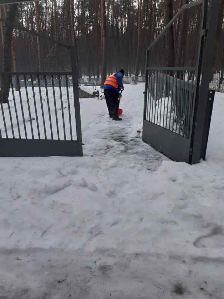 622818827 122285156186219523 7519046207876355537 n