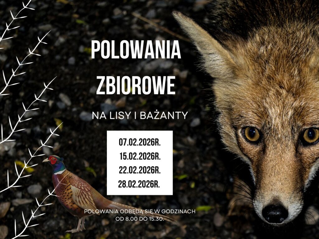 622843310 1198754385772655 5065342857919432179 n