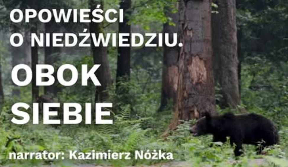 opowiesc o niedzwiedziu