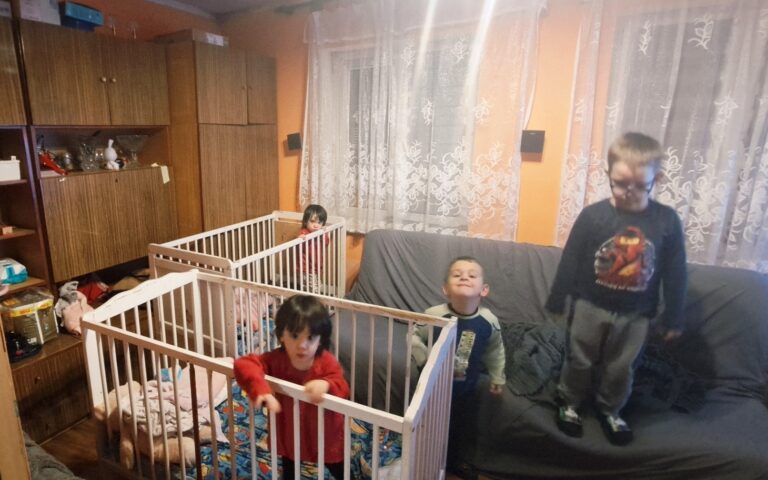 project 455807 1767815566