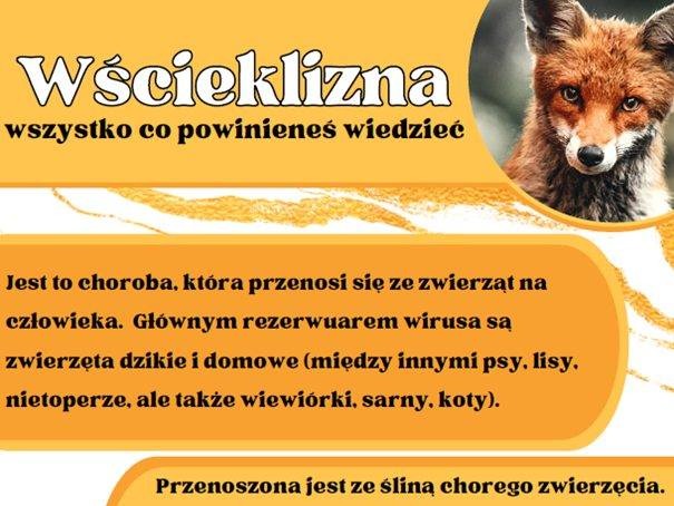 wscieklizna