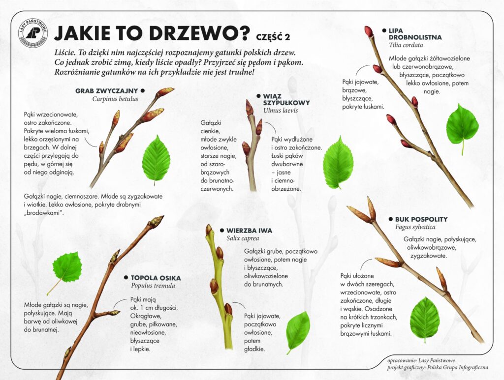 487096290 1078720290951518 5816142841256129526 n