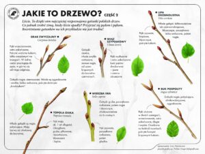 487096290 1078720290951518 5816142841256129526 n