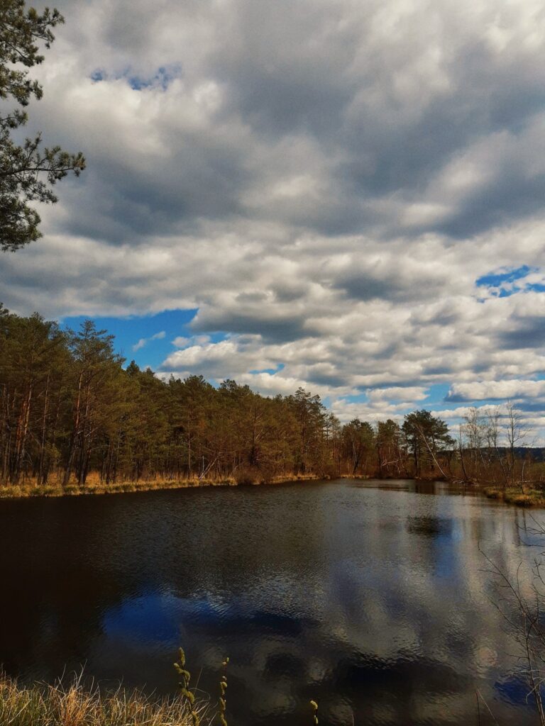 619271655 1301486232009740 1672154061088022989 n