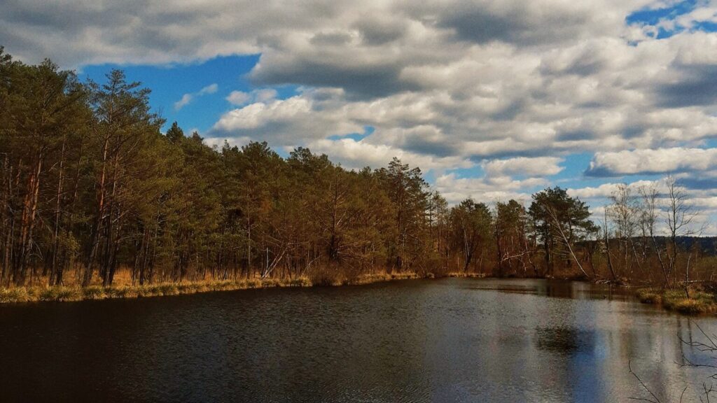 619271655 1301486232009740 1672154061088022989 n