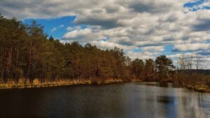 619271655 1301486232009740 1672154061088022989 n