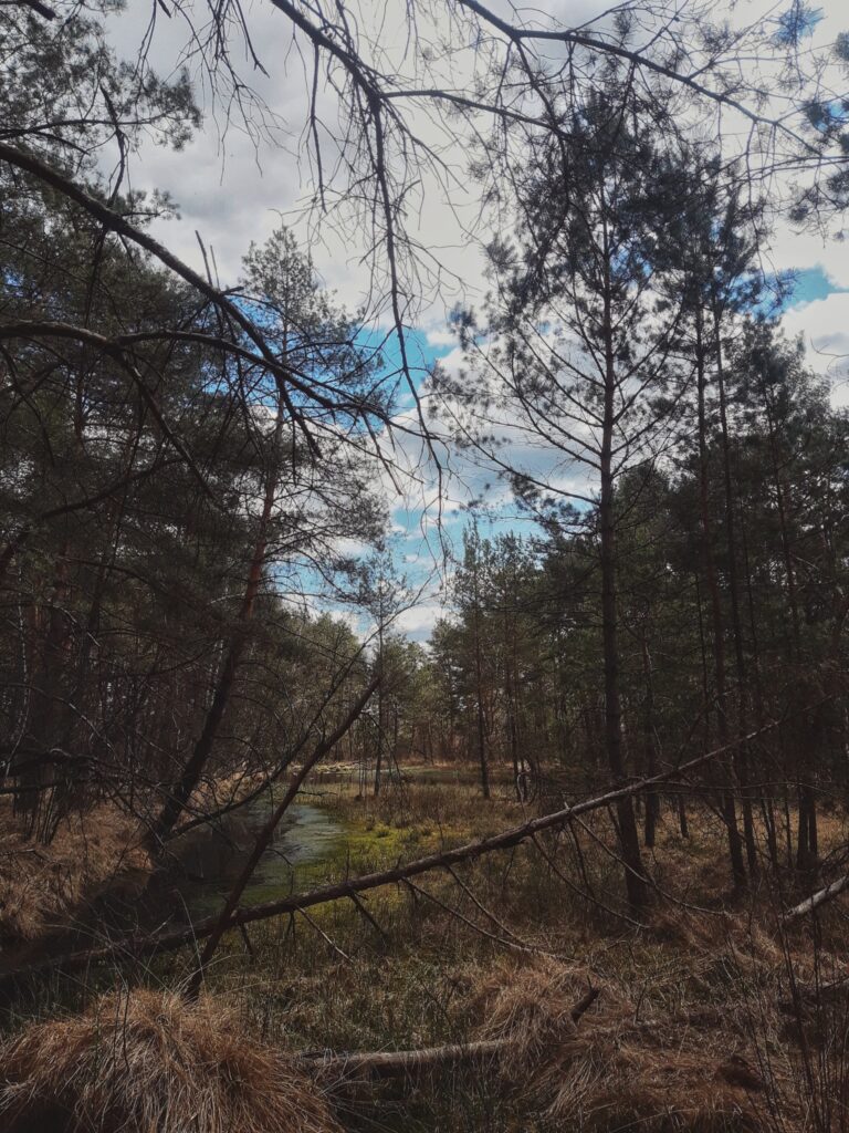 622378240 1301486258676404 6250173250375919195 n