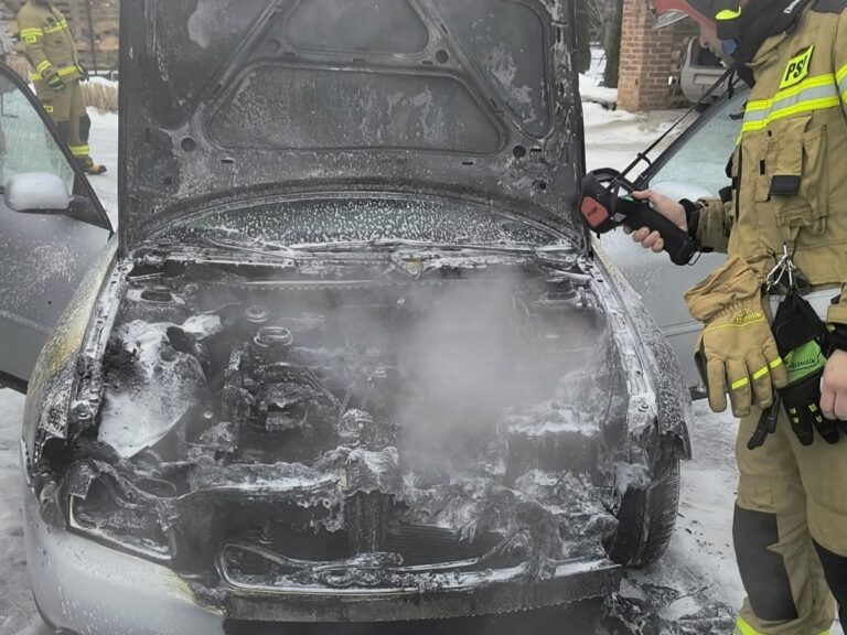 623416311 1202547975365706 5408489438929887074 1n