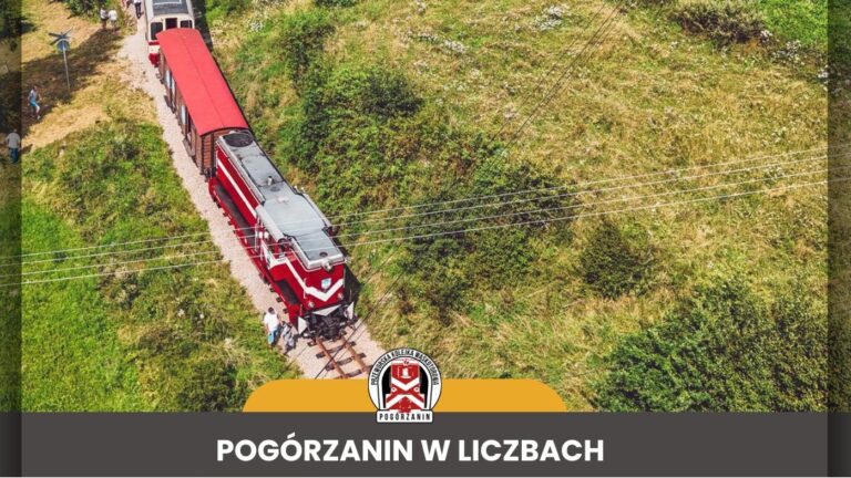 624827884 1575852770751504 767471729922359936 1n