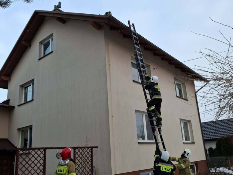 625037537 1327714766064672 7866241347951863837 n1