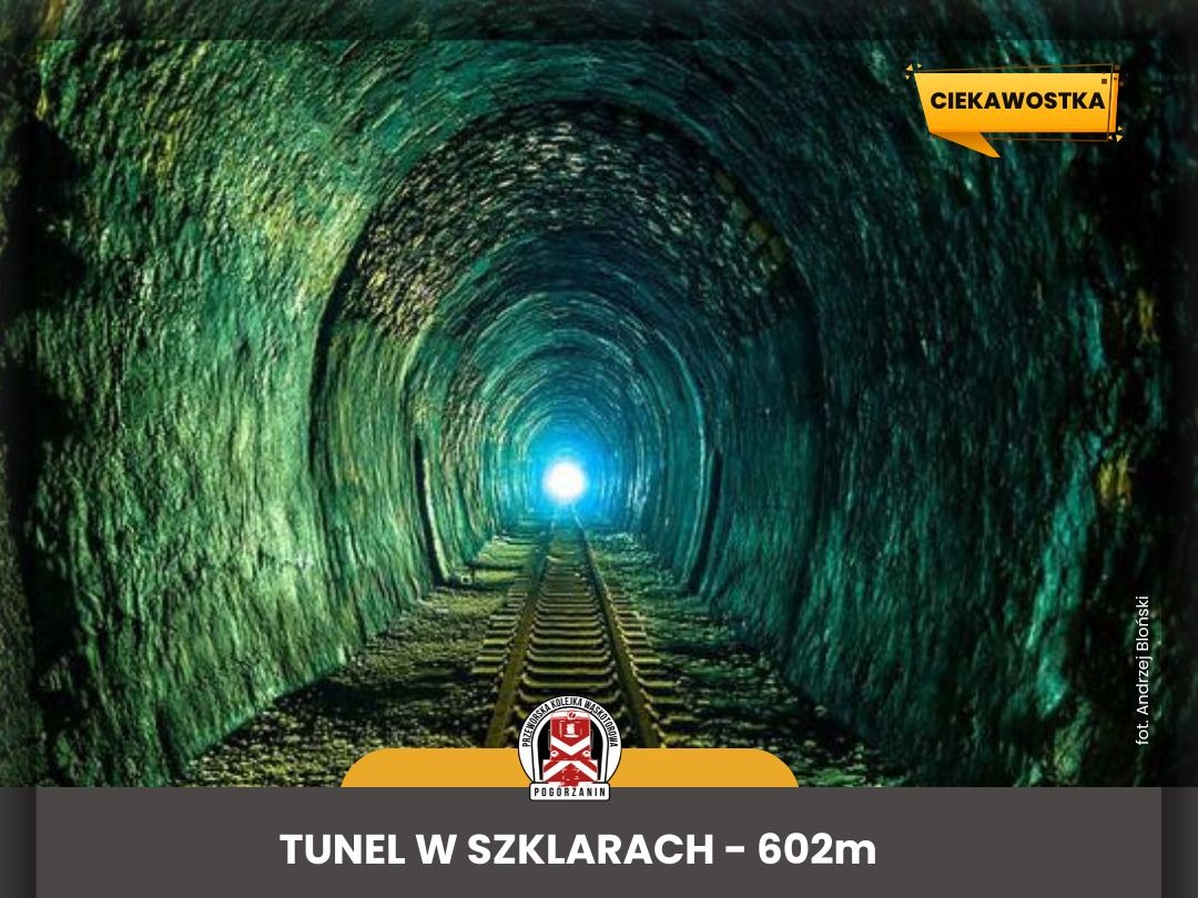 Lokalna Gazeta Internetowa 44 625074032 1578709110465870 8384575103546104301 N1