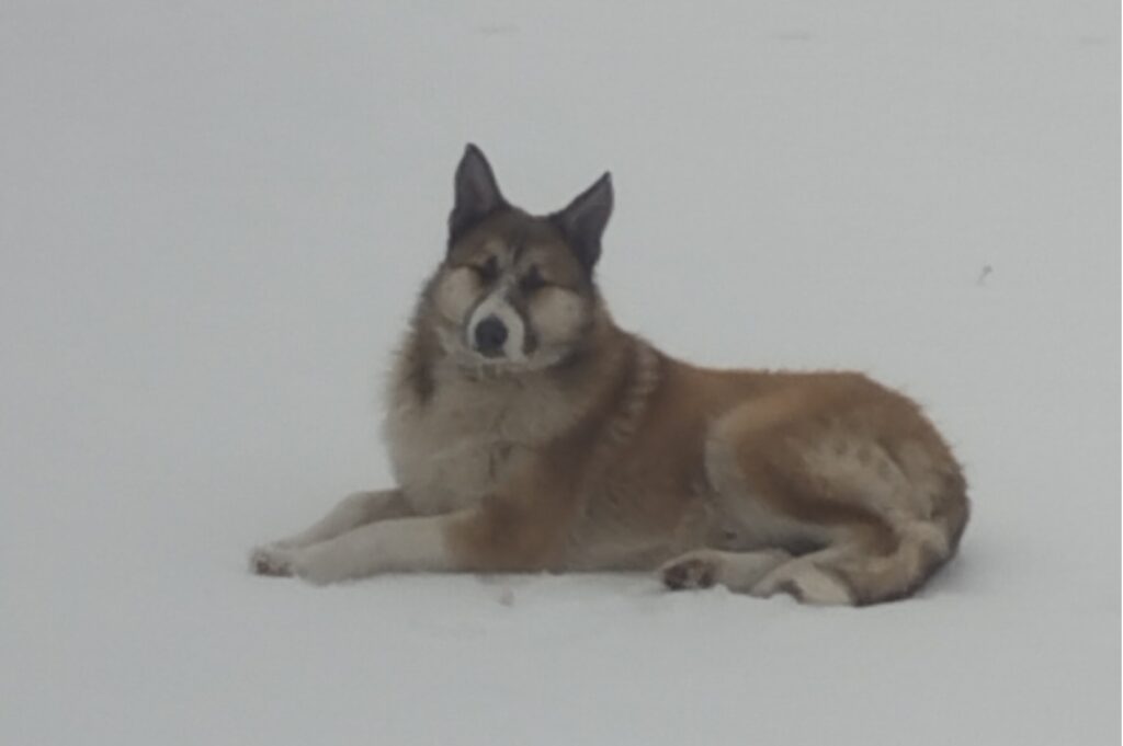 625861638 1309266237897089 1921883963250427172 n