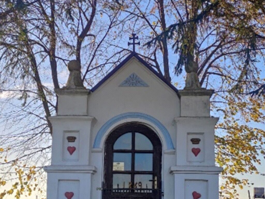 625985573 1491930886273843 3203784595928561167 n