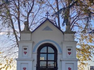 625985573 1491930886273843 3203784595928561167 n