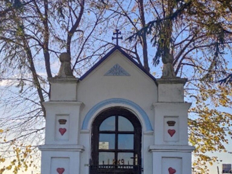 625985573 1491930886273843 3203784595928561167 n