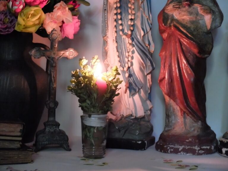 626943685 1488826606584271 1343811667350334245 n