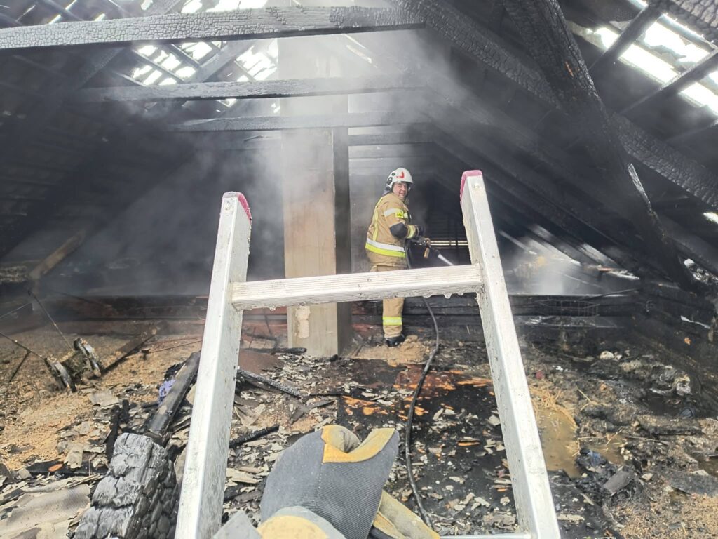 627677480 1313745104123231 8854380620707652970 n