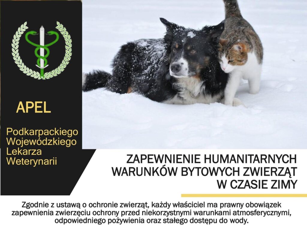 627696422 1288261923349974 3690515596523677136 n1