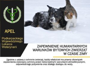 627696422 1288261923349974 3690515596523677136 n1