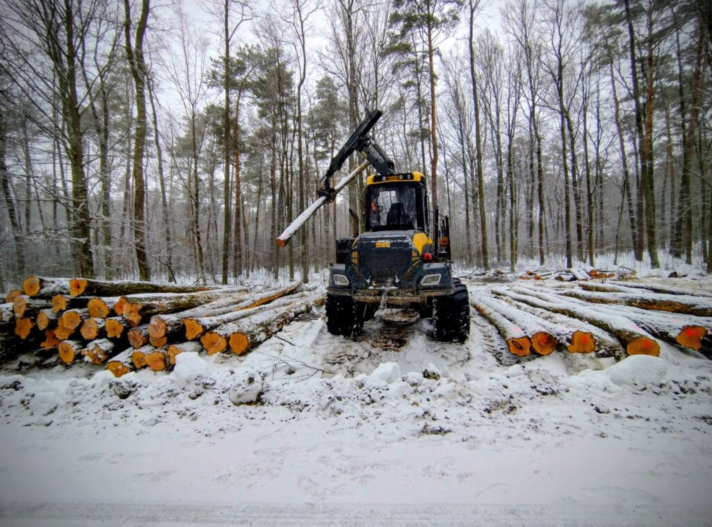 629369784 1351156100391051 8883989256455776008 n