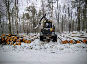 629369784 1351156100391051 8883989256455776008 n