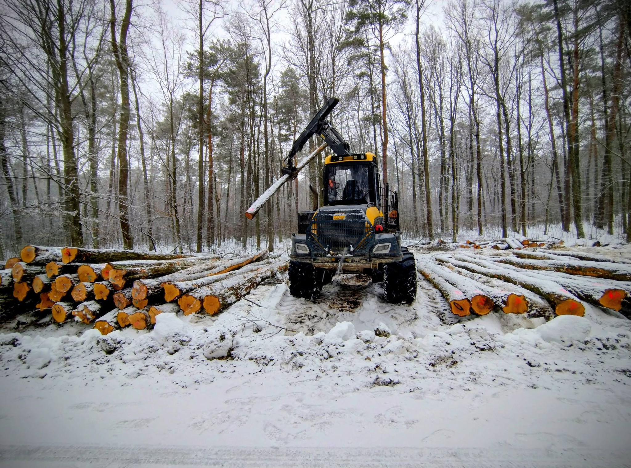 629369784 1351156100391051 8883989256455776008 n