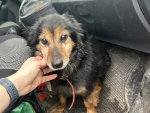 629479207 1289053626604137 8180360146101926676 1n