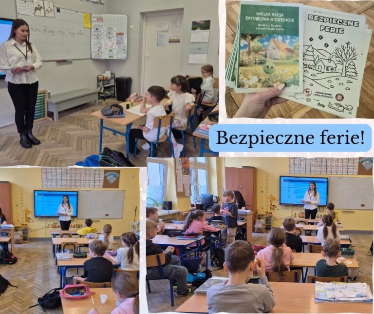 631155949 928151579609518 1509874953031001881 n