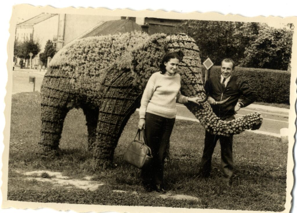 631887380 1500112962122302 6977230147246726872 n