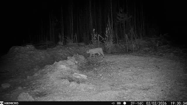 632359768 1204644305176488 6661312114362973070 n